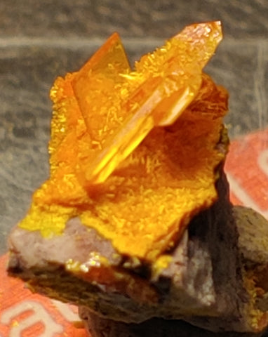 Wulfenite and Mimetite from Rowley Mine, Arizona. 1.5 cm #4076