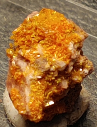 Wulfenite and Mimetite from Rowley Mine, Arizona. 1.3 cm #4080