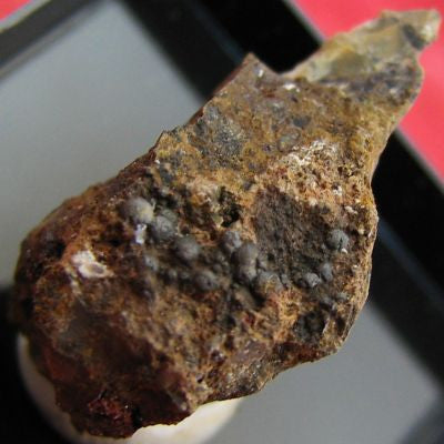 Kentrolite