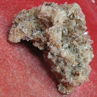 Creedite
