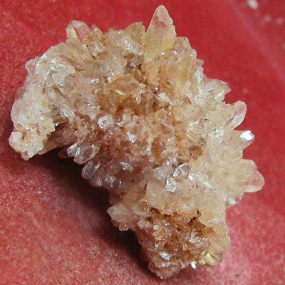 Creedite
