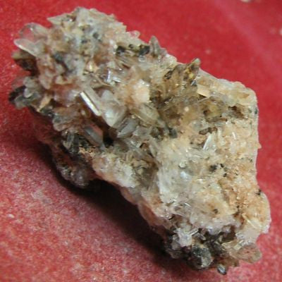 Creedite