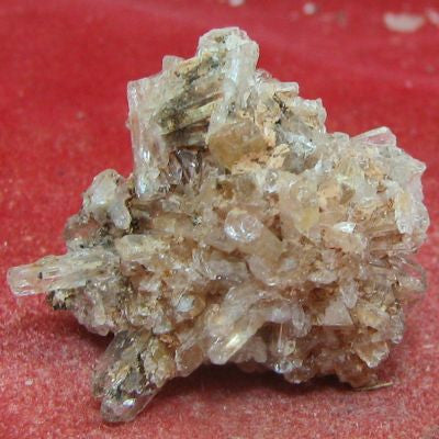 Creedite