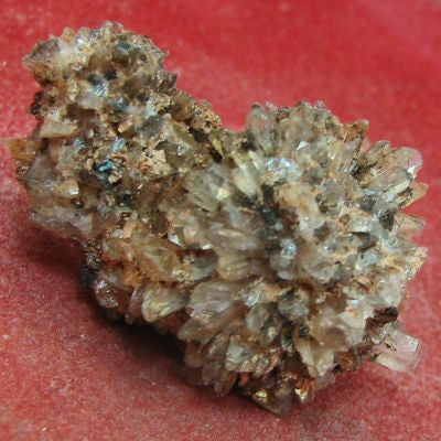 Creedite