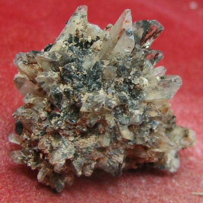 Creedite
