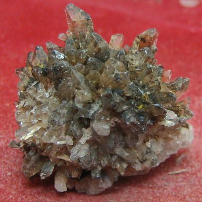 Creedite