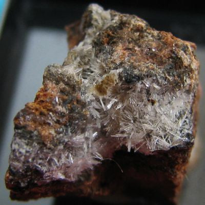 Scholzite