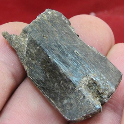 Fluororichterite