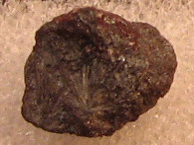 Ludwigite