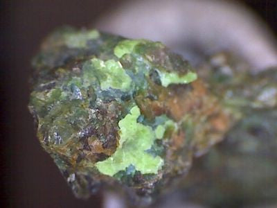 Pecoraite