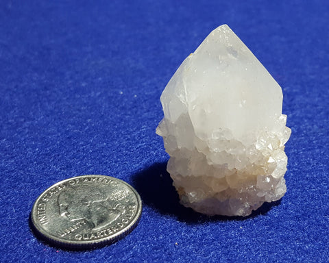 Quartz (Cactus), Mpumalanga, South Africa. Stock #1701sl