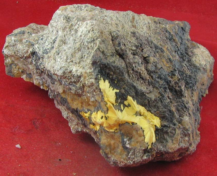 Boltwoodite