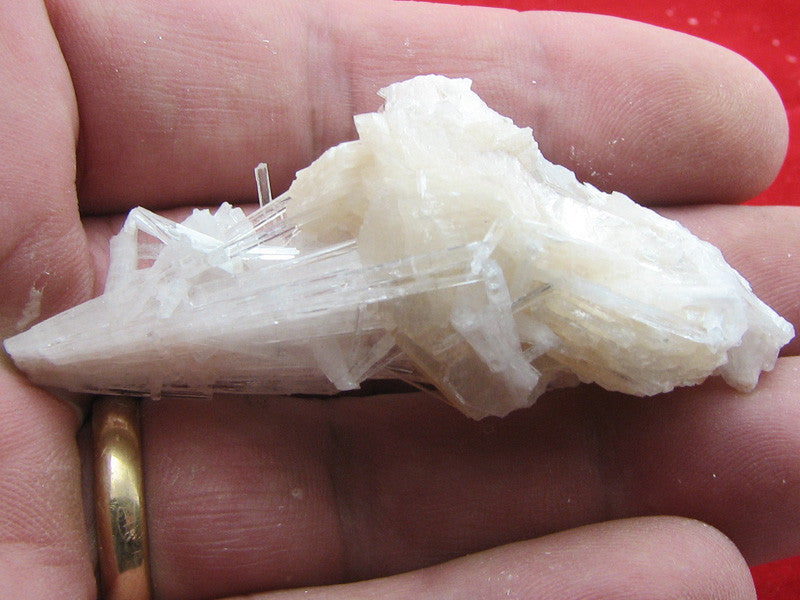 Scolecite #649