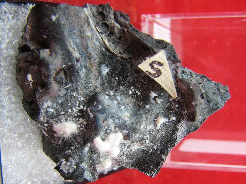 Hornesite,Sanfeldite