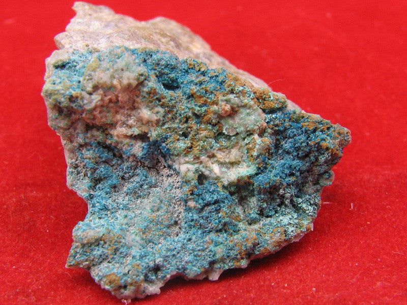 Posnjakite
