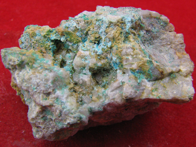 Posnjakite,Devilline