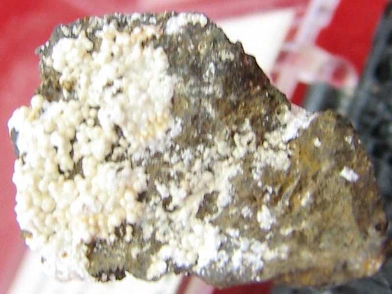 Picropharmacolite