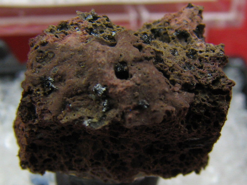 Tenorite
