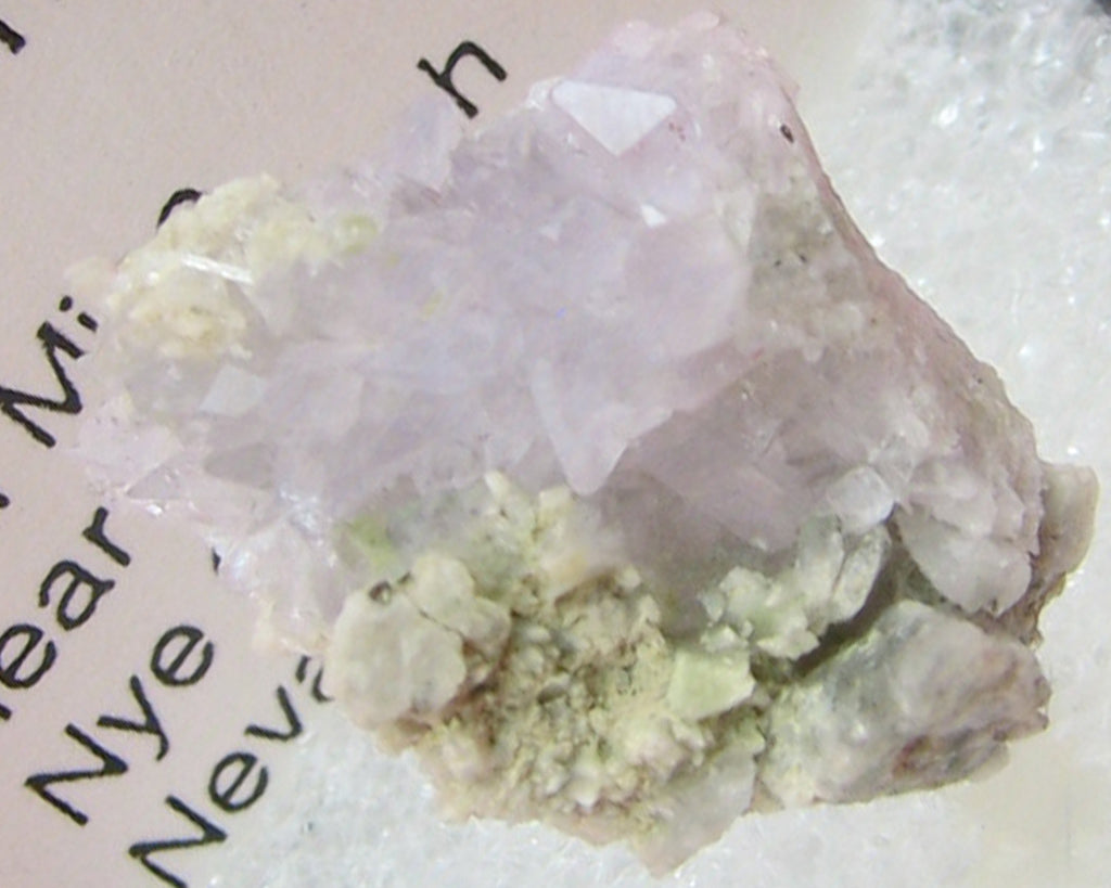 Creedite