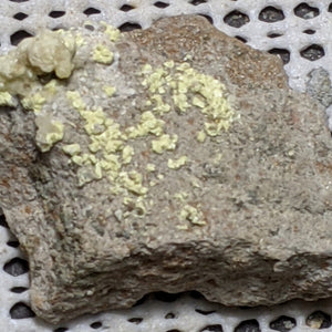 Dickthomssenite from Vanadium Queen Mine, Utah. 3.8 cm #541