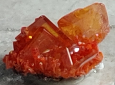 Wulfenite and Mimetite from Rowley Mine, Arizona. 1.4 cm #4028