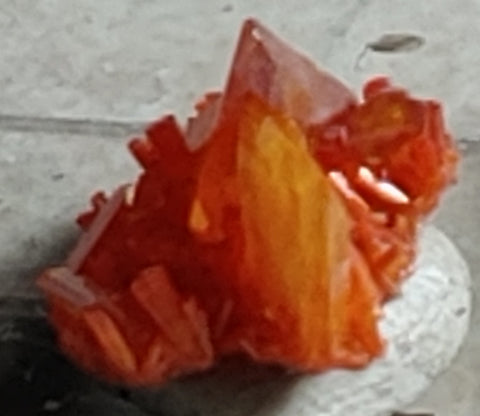 Wulfenite and Mimetite from Rowley Mine, Arizona. 1.4 cm #4028