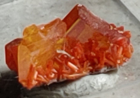 Wulfenite and Mimetite from Rowley Mine, Arizona. 1.4 cm #4028