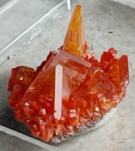 Wulfenite and Mimetite from Rowley Mine, Arizona. 1.4 cm #4028