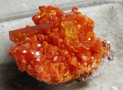 Wulfenite and Mimetite from Rowley Mine, Arizona. 1.4 cm #4029