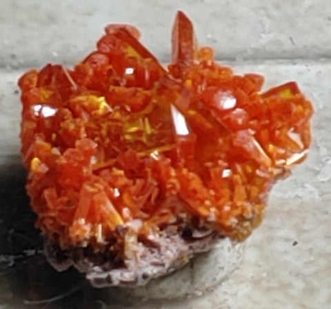 Wulfenite and Mimetite from Rowley Mine, Arizona. 1.4 cm #4029