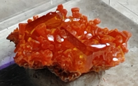 Wulfenite and Mimetite from Rowley Mine, Arizona. 1.4 cm #4029