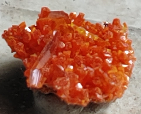 Wulfenite and Mimetite from Rowley Mine, Arizona. 1.4 cm #4029