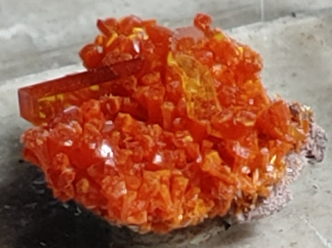 Wulfenite and Mimetite from Rowley Mine, Arizona. 1.4 cm #4029