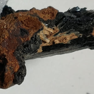 Vivianite from Kerch, Crimea, Russia. 2.2 cm #4052
