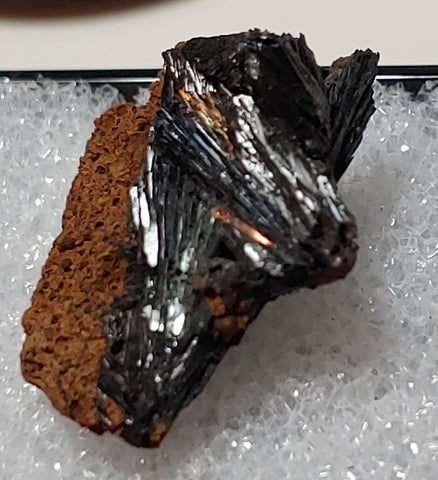 Vivianite from Kerch, Crimea, Russia. 2.3 cm #4053