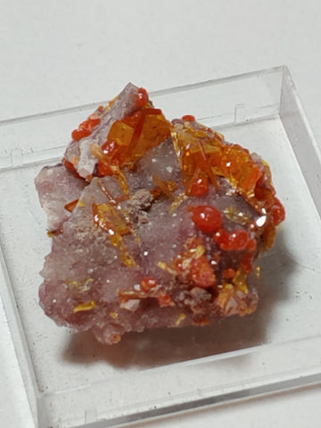 Wulfenite and Mimetite from Rowley Mine, Arizona. 2.2 cm #4057