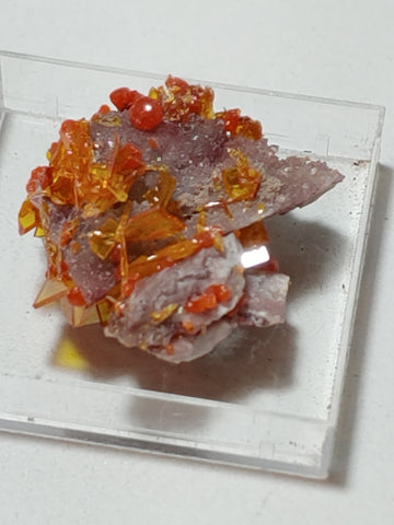 Wulfenite and Mimetite from Rowley Mine, Arizona. 2.2 cm #4057