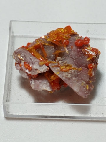 Wulfenite and Mimetite from Rowley Mine, Arizona. 2.2 cm #4057