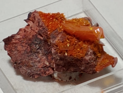 Wulfenite and Mimetite from Rowley Mine, Arizona. 2.6 cm #4058