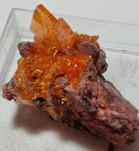 Wulfenite and Mimetite from Rowley Mine, Arizona. 2.6 cm #4058