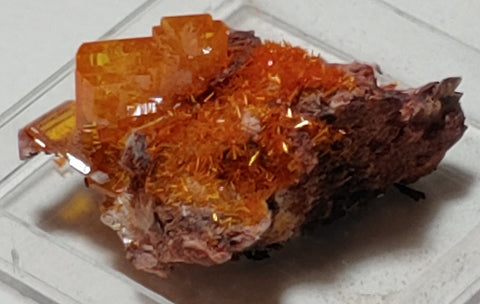 Wulfenite and Mimetite from Rowley Mine, Arizona. 2.6 cm #4058