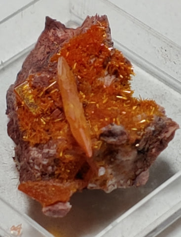 Wulfenite and Mimetite from Rowley Mine, Arizona. 2.6 cm #4058