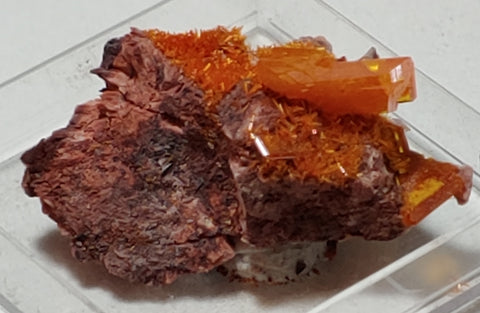 Wulfenite and Mimetite from Rowley Mine, Arizona. 2.6 cm #4058