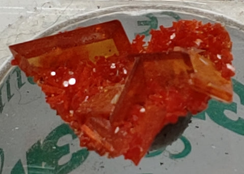 Wulfenite and Mimetite from Rowley Mine, Arizona. 2.1 cm #4060