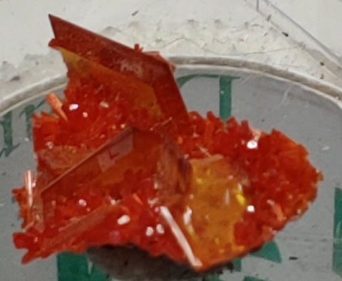 Wulfenite and Mimetite from Rowley Mine, Arizona. 2.1 cm #4060