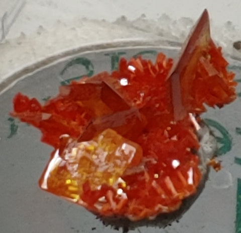 Wulfenite and Mimetite from Rowley Mine, Arizona. 2.1 cm #4060