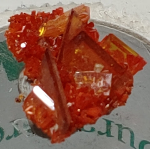 Wulfenite and Mimetite from Rowley Mine, Arizona. 2.1 cm #4060