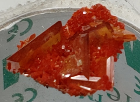 Wulfenite and Mimetite from Rowley Mine, Arizona. 2.1 cm #4060