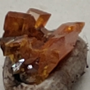 Wulfenite from Red Cloud Mine, Arizona. Stock 0.9 cm #5219