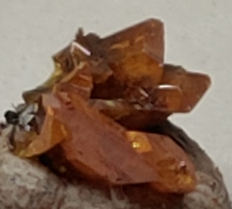 Wulfenite from Red Cloud Mine, Arizona. Stock 0.9 cm #5219